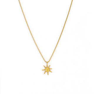 Salty Cali Sole Necklace Silver