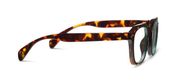 Peepers Readers Neon - Tortoise