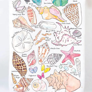 Sea Shell Collector Ocean Beach Kitchen Towel