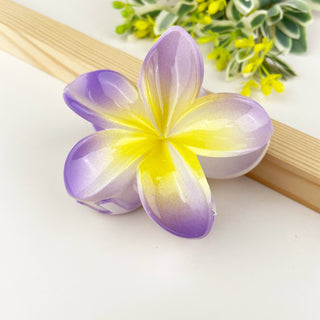 Colorful plumeria hair Clip