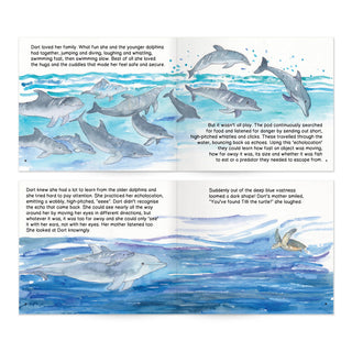 Dolphin Discovery Storybook