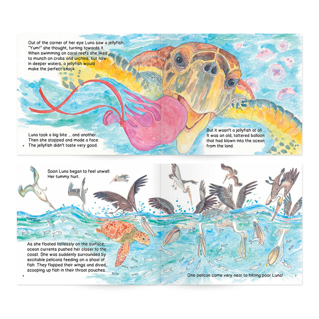 Loggerhead Life: Storybook