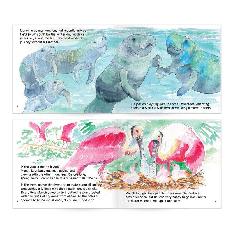 Manatee Magic Storybook