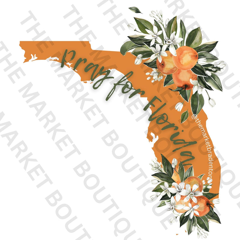 Hurricane Helene Relief Pray for Florida T-Shirts & Stickers - 100% of Proceeds Donated