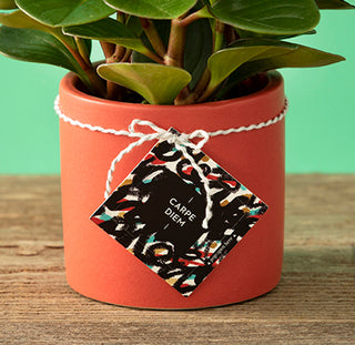 Thoughtfulls - Carpe Diem - Pop Open Cards