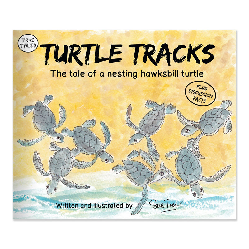 Turtle Tracks Storybook