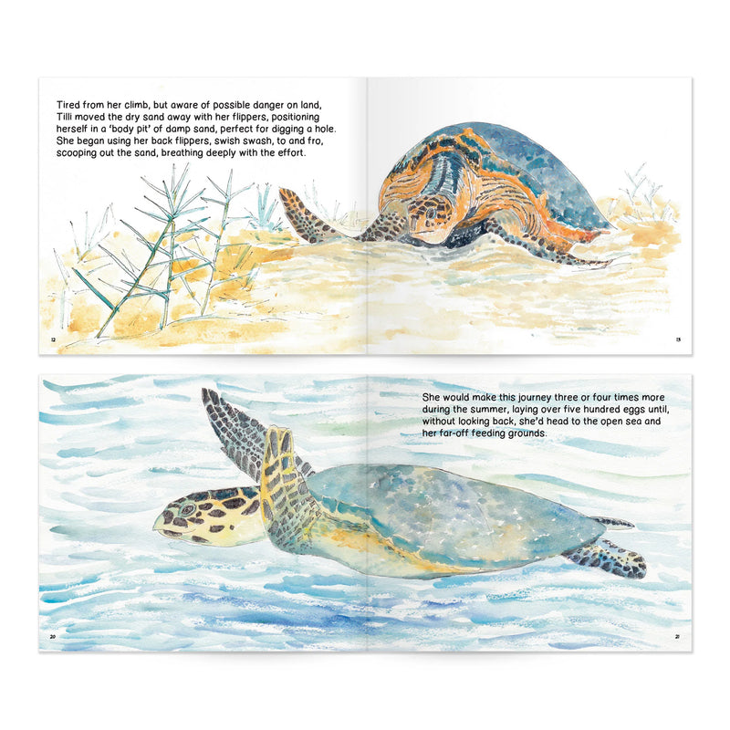Turtle Tracks Storybook