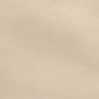 Gigi Crossbody with Woven Wrist Strap