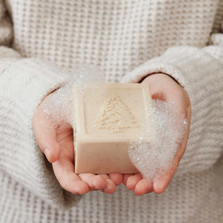 Thymes Frasier Fir Bar Soap & Dish Set