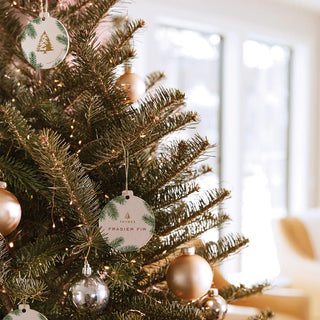 Thymes Frasier Fir Frasier Fir® Decorative Sachet